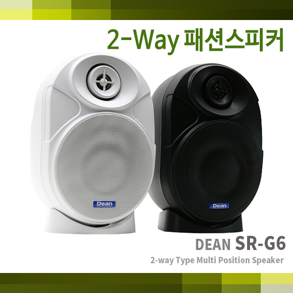 SR-G6/DEAN/100W 패션스피커/카페스피커(2개1조)