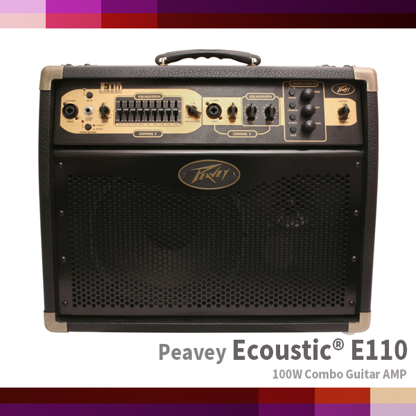 Ecoustic E110/PEAVEY/100W Combo Guitar Amplifier
